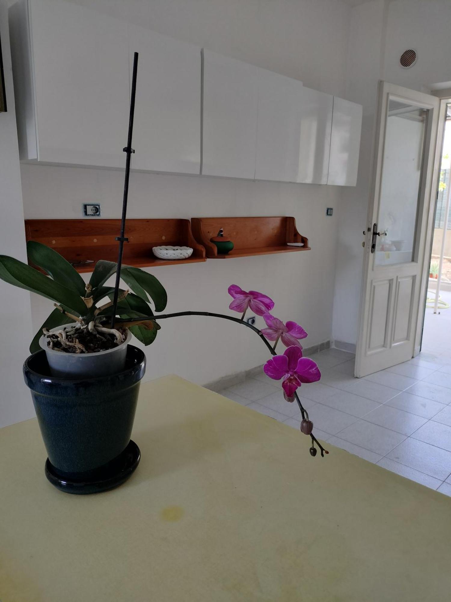 Sunny House Appartement Parghelia Buitenkant foto